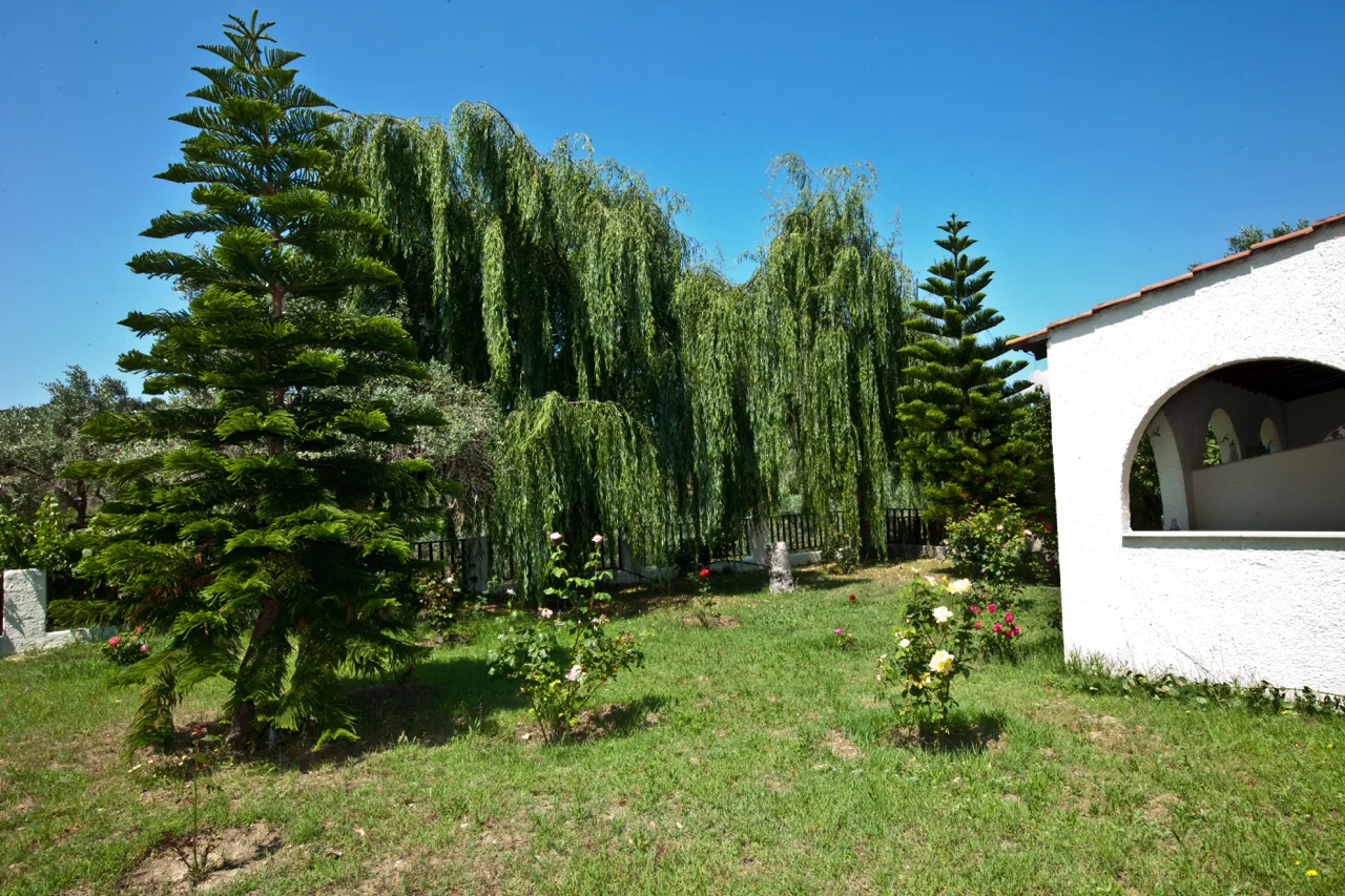 img 3530